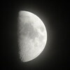 月齢8.3