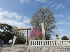 南千住明治通りの白鬚橋の石浜神社