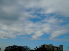 千住桜木ワンドから2丁目公園の青空の中の白い雲