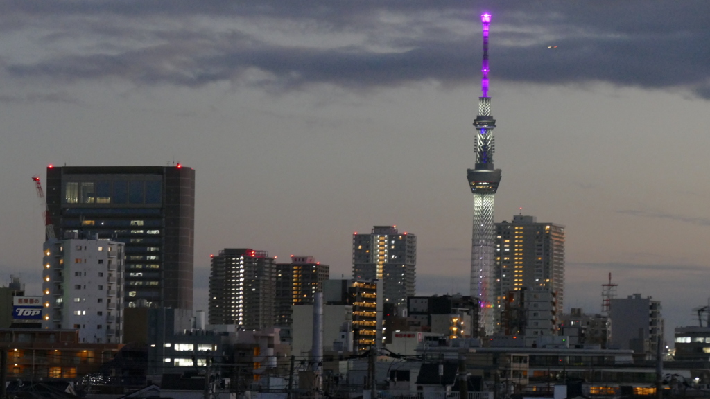 荒川土手から夜景
