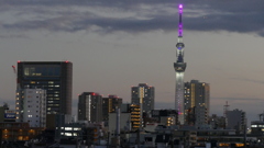 荒川土手から夜景