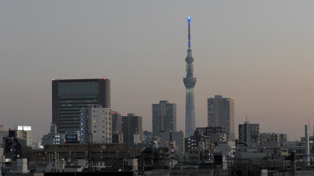 '23新春の荒川土手からの夜景１