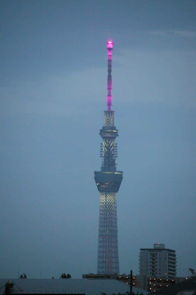 曇り空の尾竹橋からパープルな東京スカイツリー