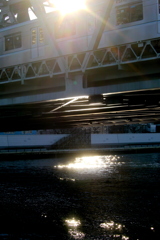 逆光の隅田川橋梁の常磐線