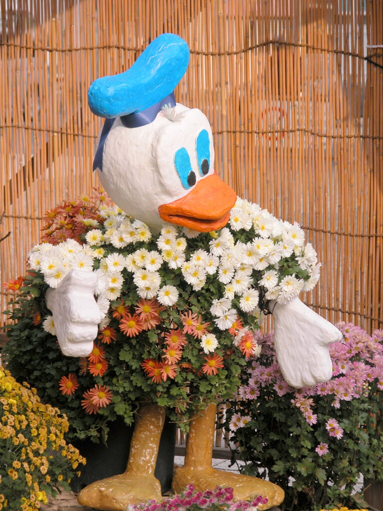 亀戸天神の菊まつりのミッキーの菊人形