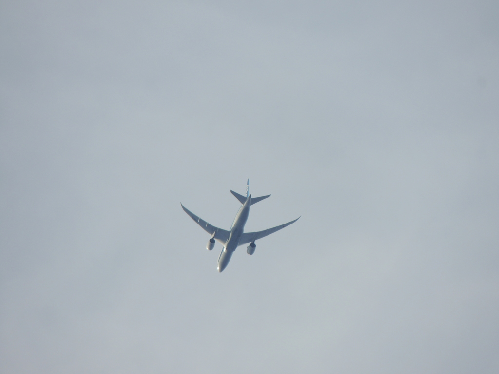 桜木ワンド上空の低く飛ぶ飛行機