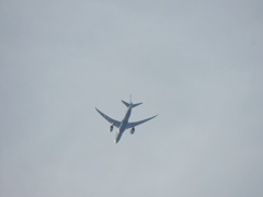 桜木ワンド上空の低く飛ぶ飛行機