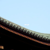 上野東照宮の神楽殿の銅葺の屋根と