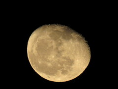 南東低く登る赤い月齢18.0