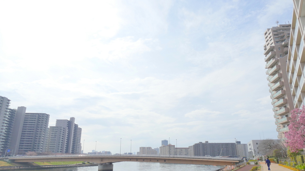 隅田川汐入大橋