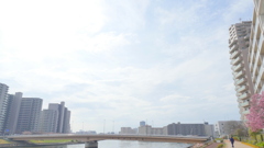 隅田川汐入大橋