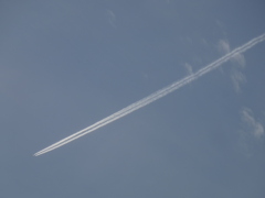 ’22新年の荒川土手から薄い雲からの飛行機雲