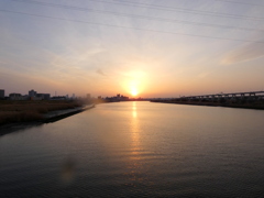 黄金のホヤを纏ったあらかわの夕日