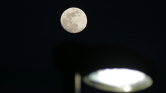 西新井橋の街灯に月齢12.6