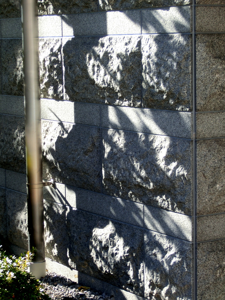 最近のモダンなマンションのサイデイングに当たる木漏れ日