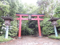 雨の根津神社裏門