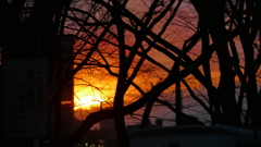 隅田川沿尾竹橋公園の雁が腹摺山左大蔵高丸右の夕日