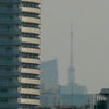 霞んだ避雷針と東京タワー