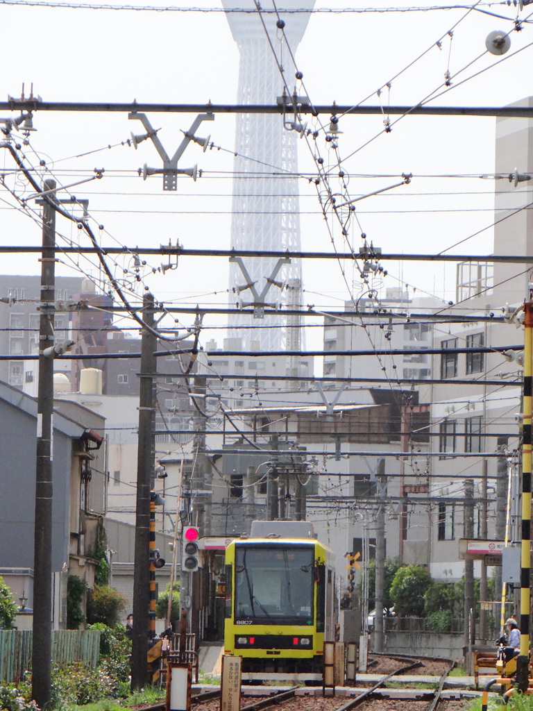黄色の都電荒川線三ノ輪橋方面へ