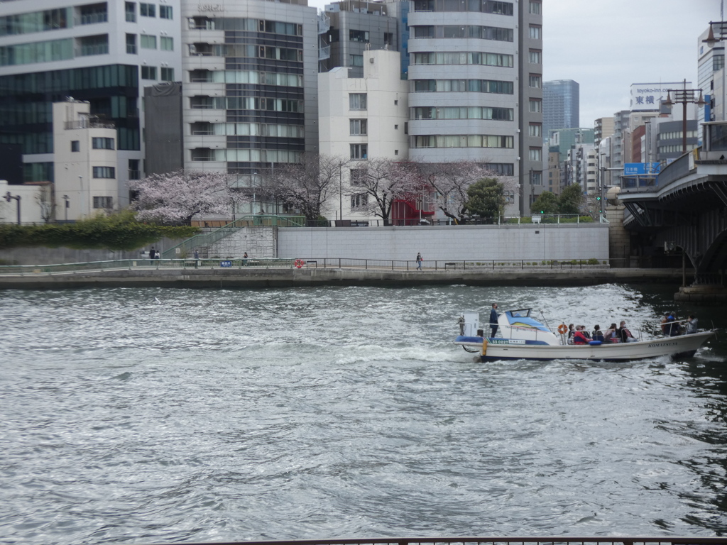 両国橋の向かいの浜町河岸と薬研堀