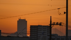 荒川土手から池袋方面に見えた丹沢鬼ケ岩頭左谷に入る夕日