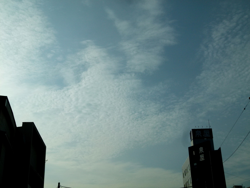 ハチの巣状高積雲と