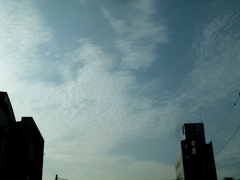 ハチの巣状高積雲と