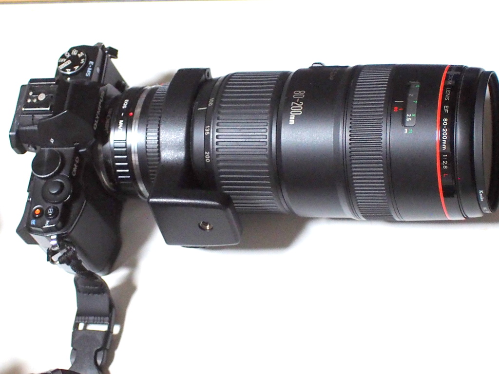 E-M5とキャノンEF80－200ｍｍF2.8Ⅰ