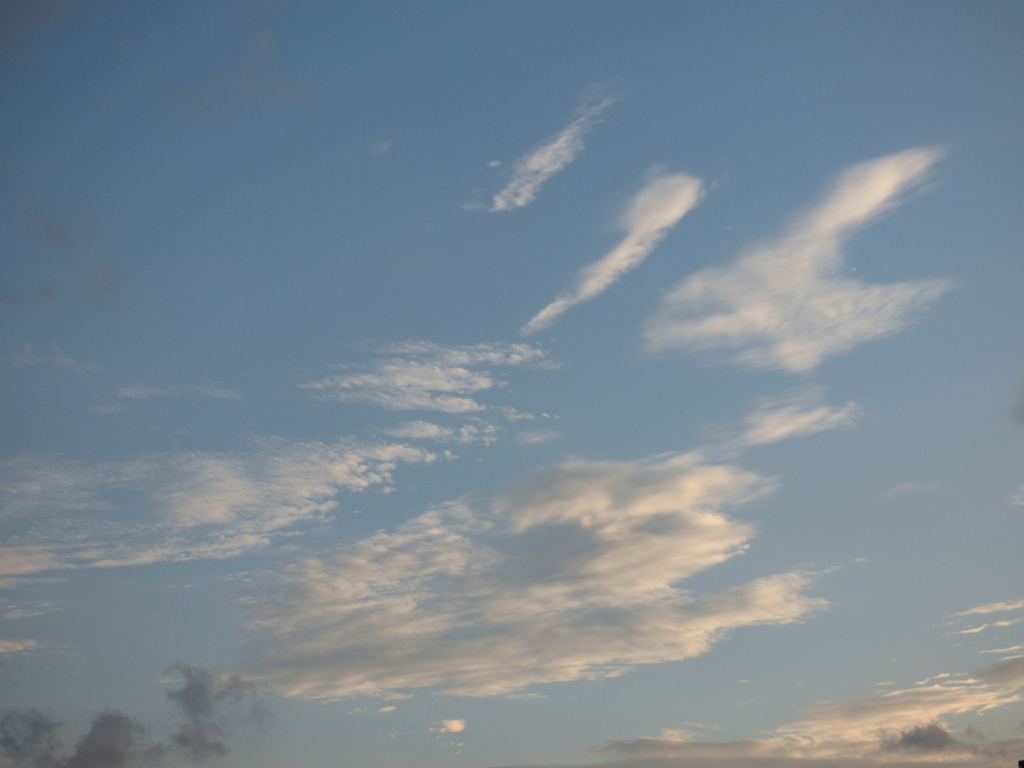 高積雲いろいろ３