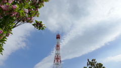 晴れ時々曇り
