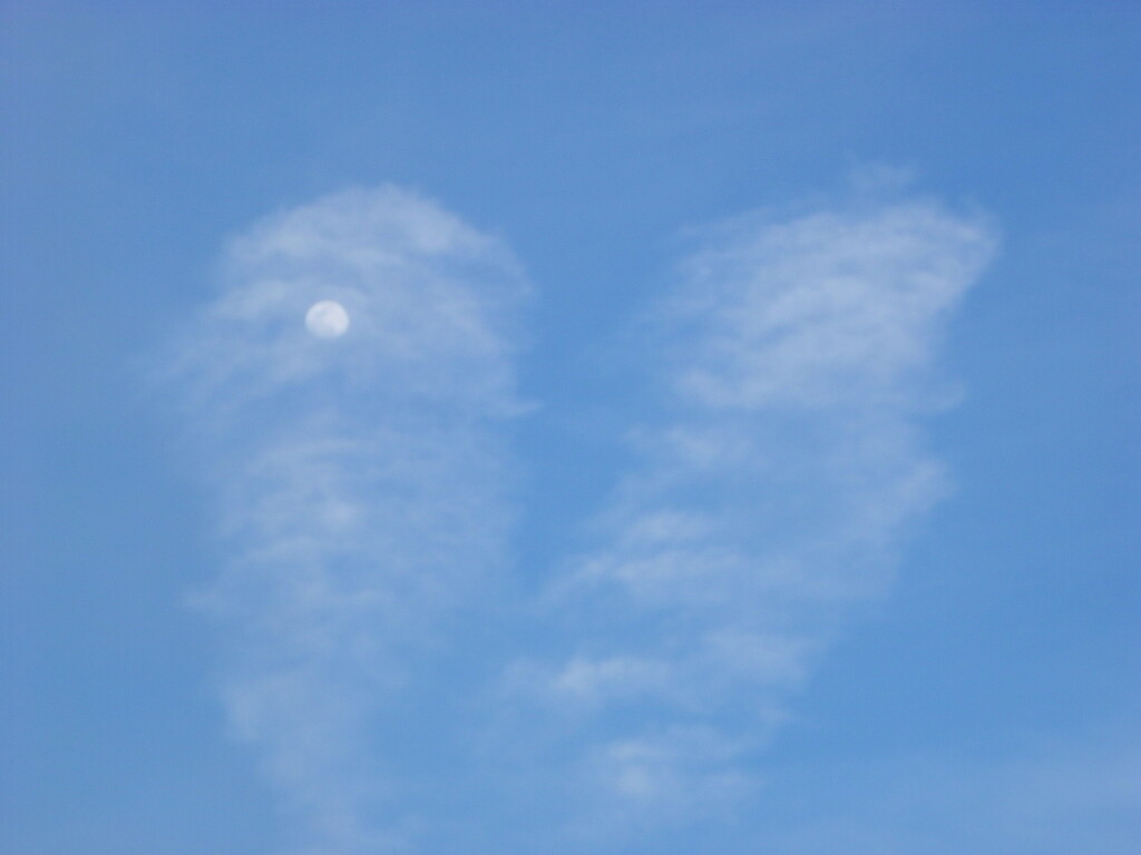 荒川土手から雲被る月齢1.8