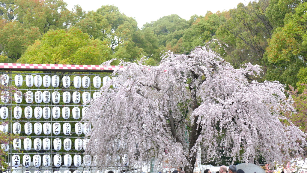上野桜まつり