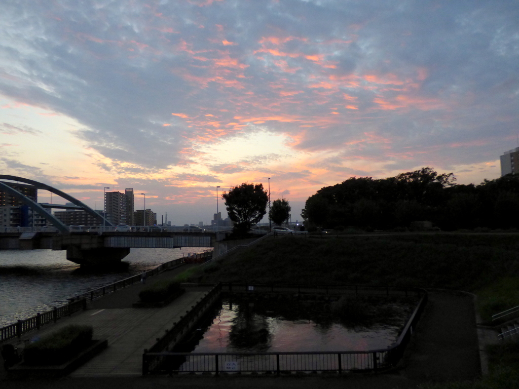 隅が川ワンドの夕暮れ