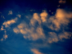 シュミラクラ現象、竜の頭を連想させる