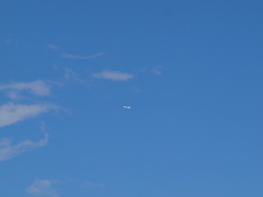 600ミリで空の航空機