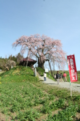 お不動さんにお参り