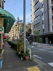 台東区根岸の三業柳通り