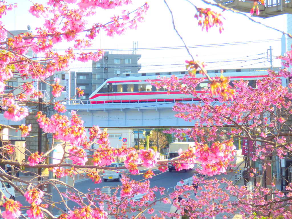 雅桜と東武浅草線