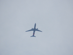 雲の中から航空機