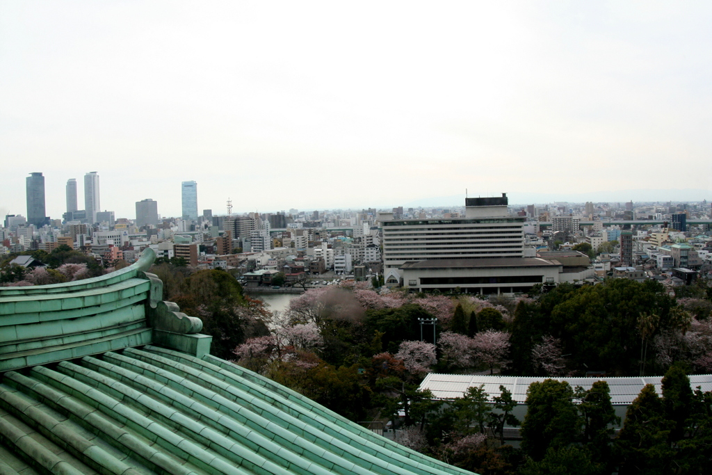 名古屋城の天主からの眺め４