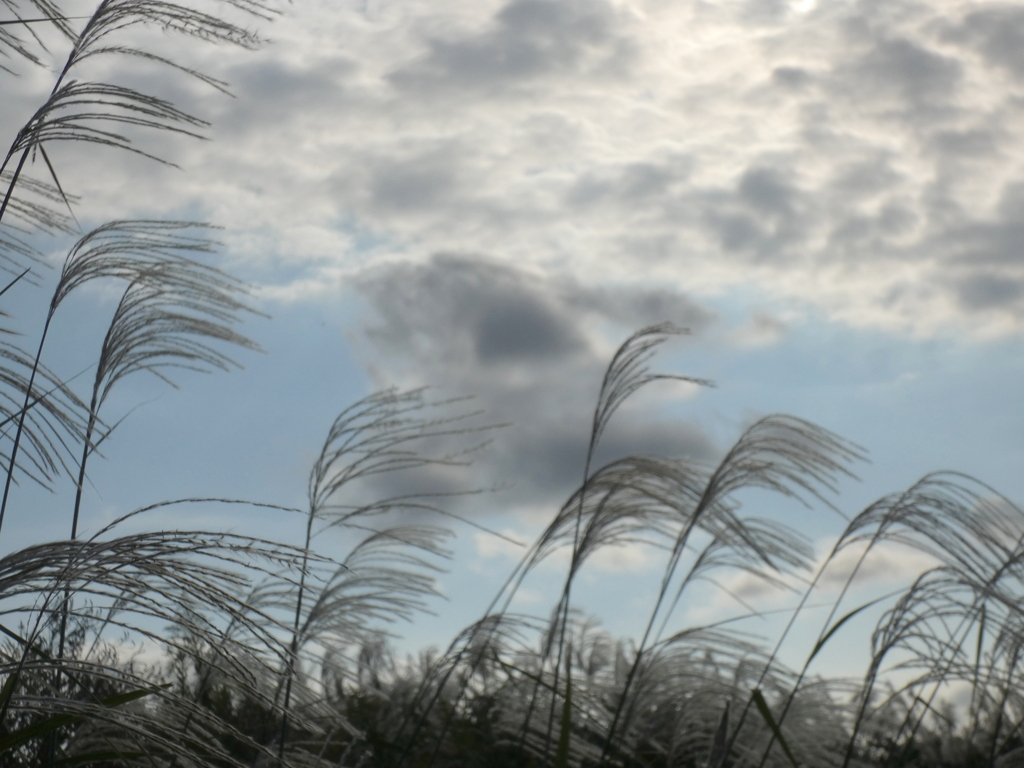 秋の風と雲