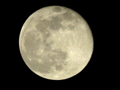 スーパームーンを少し過ぎた月齢16.0