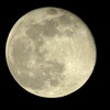 スーパームーンを少し過ぎた月齢16.0