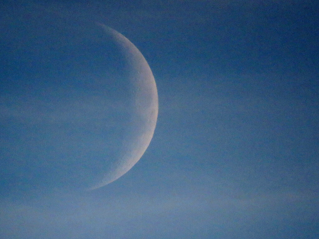 夕方の雲と月齢4.5