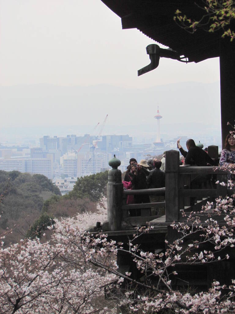 清水の舞台野桜と遠くに京都タワーがこっちに向かってレンズを向ける人も