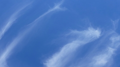 梅雨明け近い空