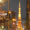 第一京浜の札の辻から赤羽橋に向かって東京タワーの名所