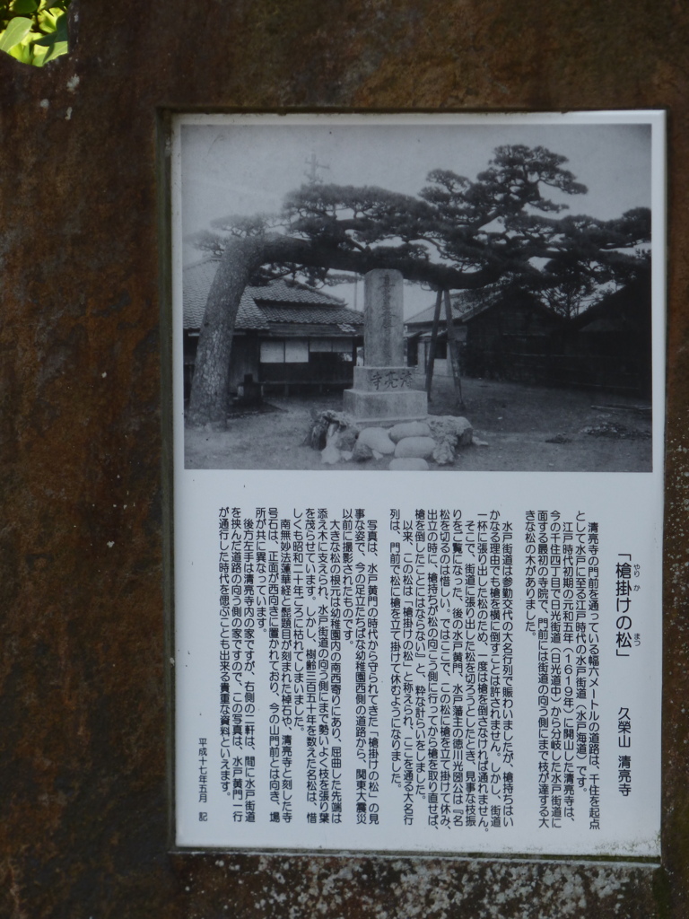 千住槍掛けの松の案内