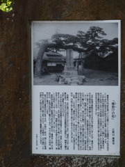 千住槍掛けの松の案内