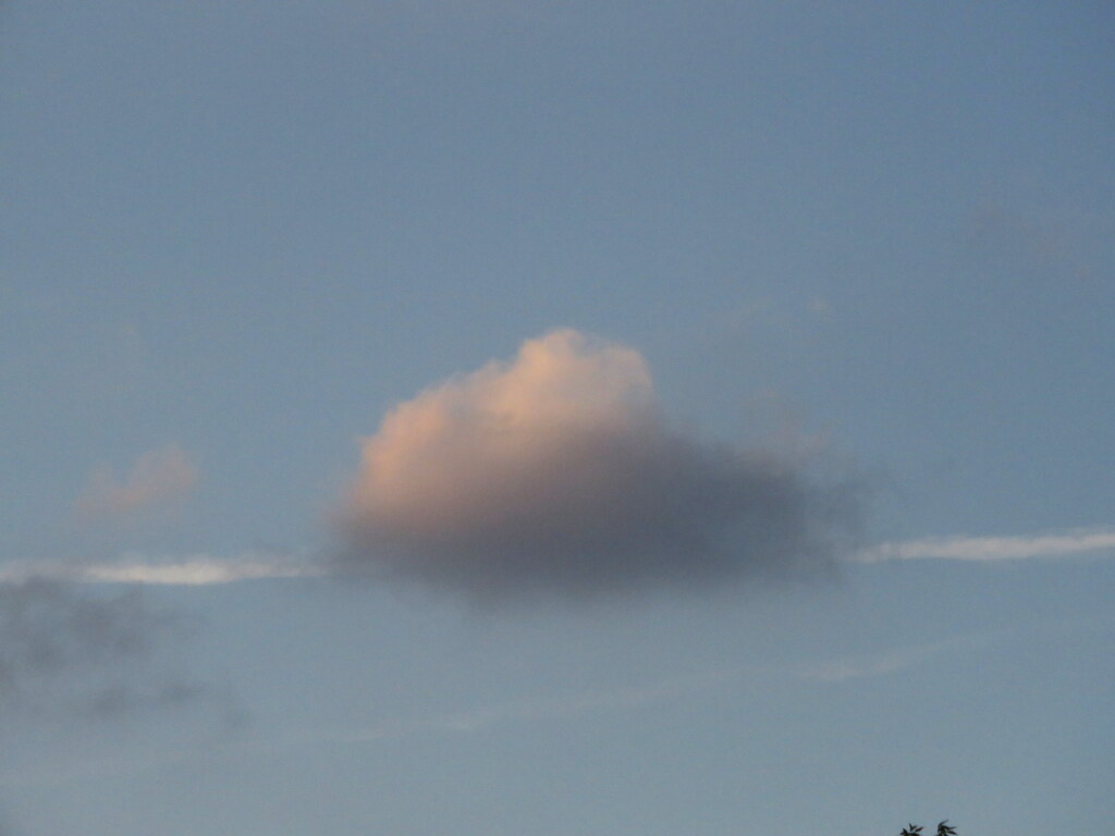 ジェット雲に乗る